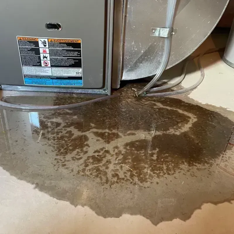 Appliance Leak Cleanup in Niwot, CO